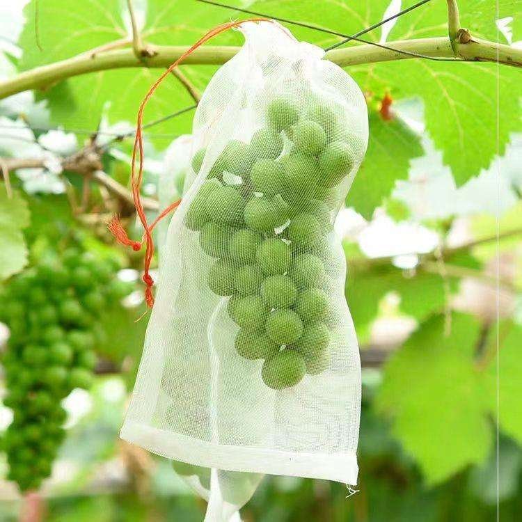 25 PCs । Reusable Fruit Protection Nylon Net Bag  (25×35 cm) । CN-42