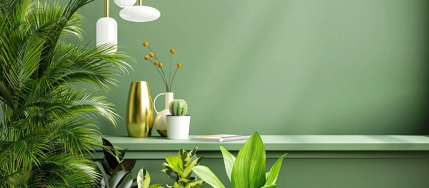 CosyNeeds desktop slider 1